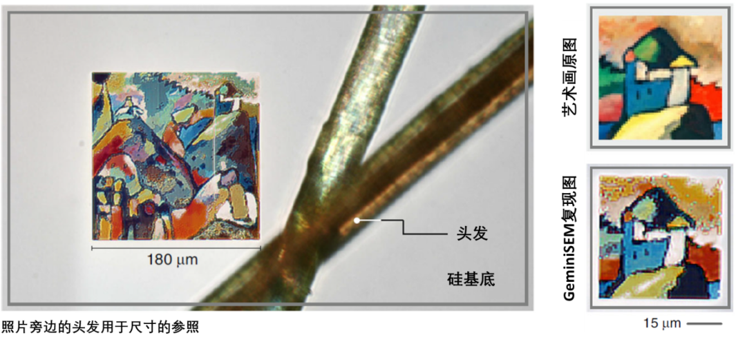 吉安蔡司吉安扫描电镜