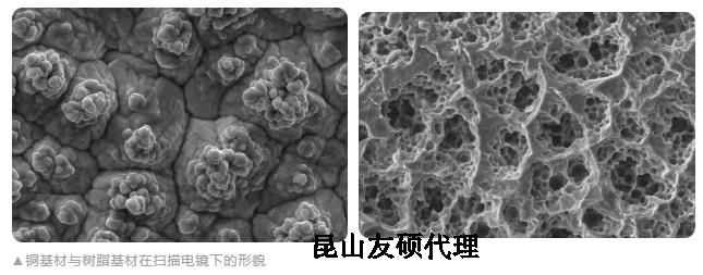 吉安蔡司吉安扫描电镜