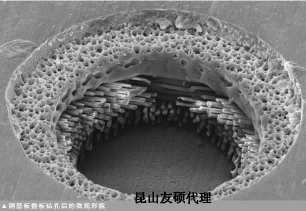 吉安蔡司吉安扫描电镜